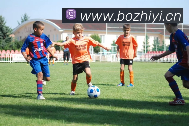 爱游戏官网ayxAPP 体育赛事宣传图